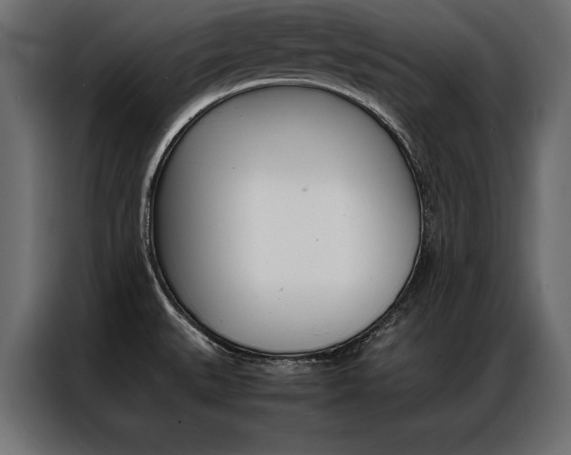 X0000086941527200704161023