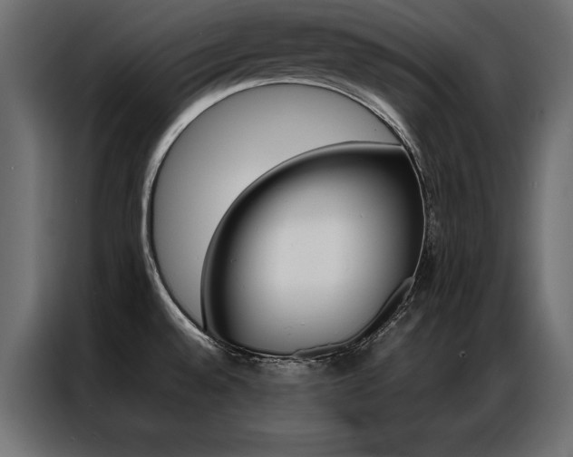 X0000086941528200704161023