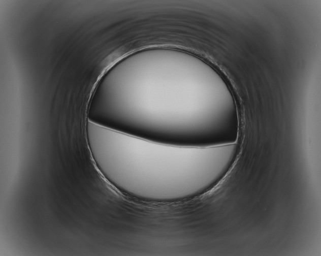 X0000086941529200704161023