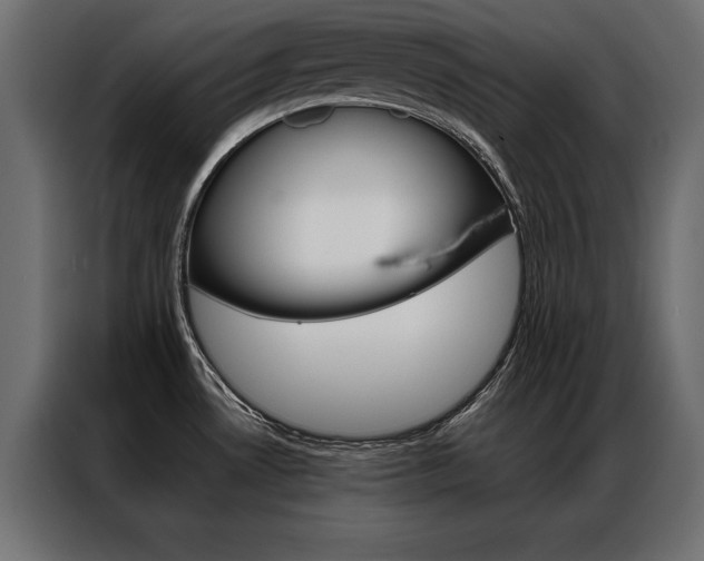 X0000086941530200704161023