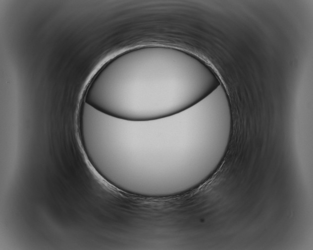 X0000086941531200704161023
