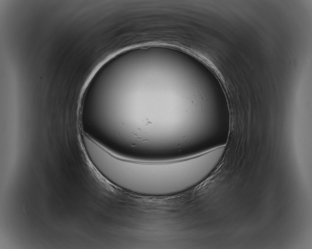 X0000086941532200704161023