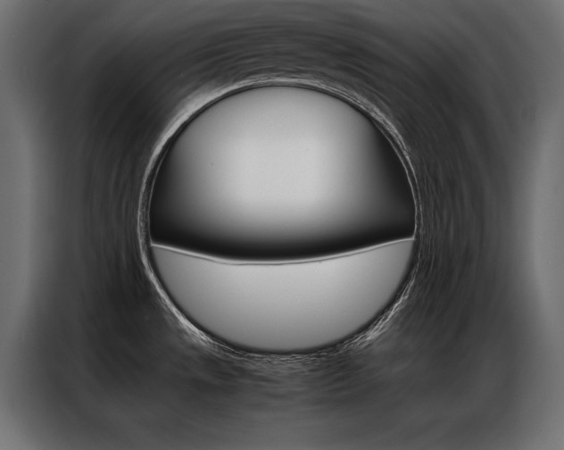 X0000086941533200704161023