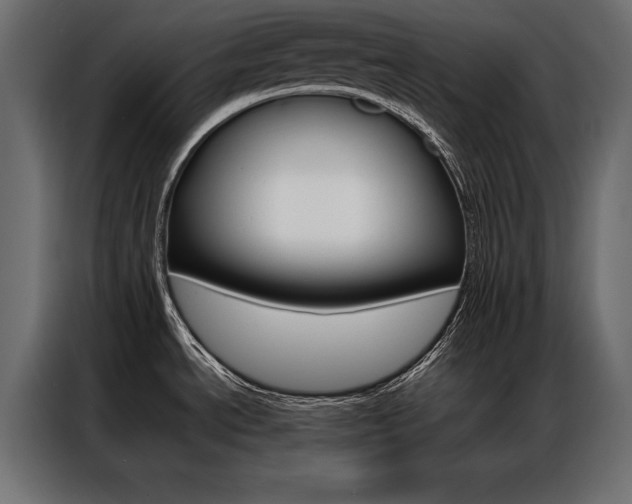 X0000086941534200704161023