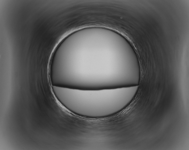 X0000086941535200704161023