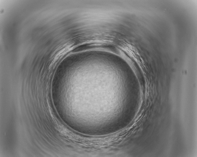 X0000086940001200704161440