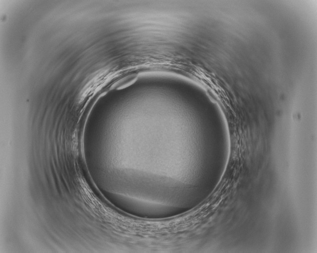 X0000086940002200704161440