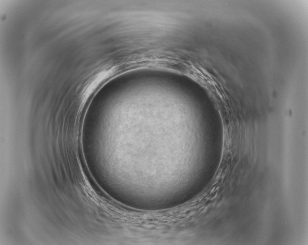 X0000086940003200704161440