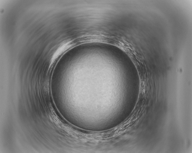 X0000086940004200704161440