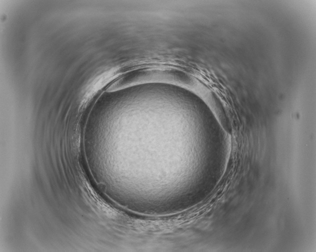X0000086940005200704161440