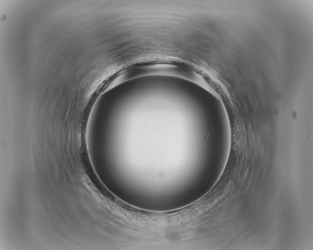 X0000086940015200704161440