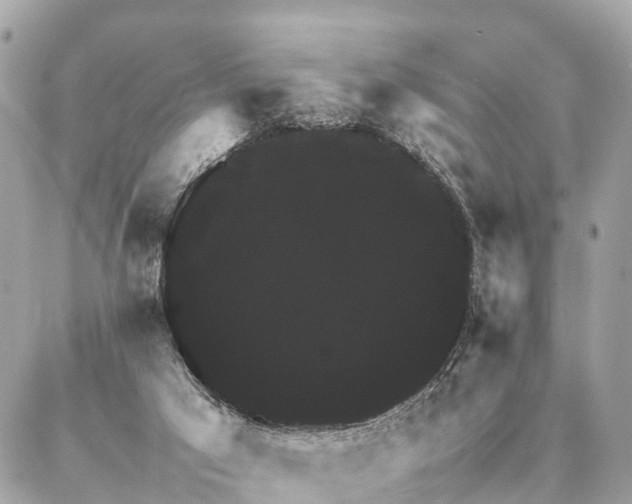 X0000086940017200704161440