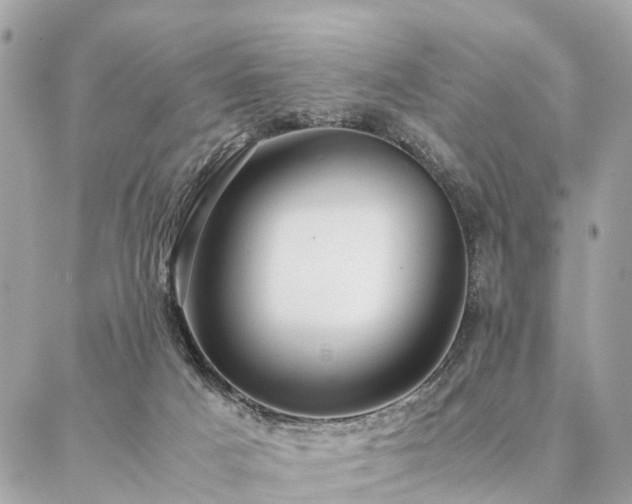 X0000086940025200704161440