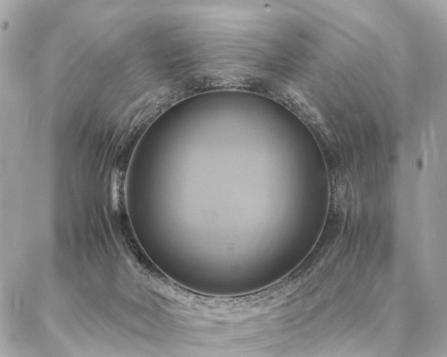 X0000086940026200704161440