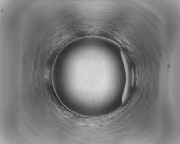 X0000086940033200704161440