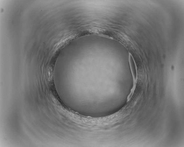X0000086940043200704161440