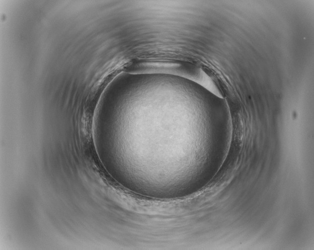 X0000086940044200704161440