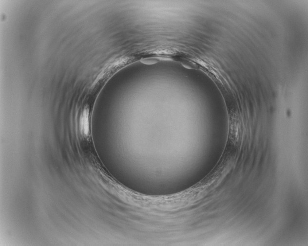 X0000086940046200704161440