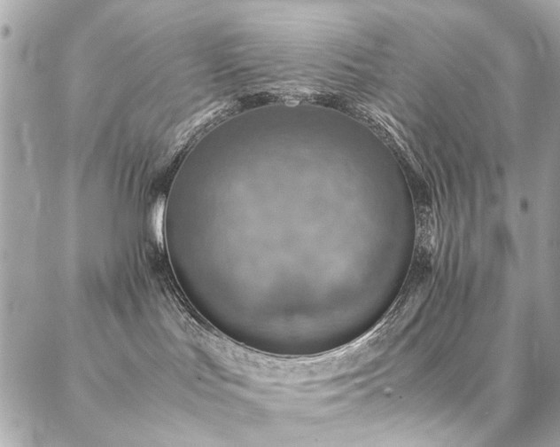 X0000086940047200704161440
