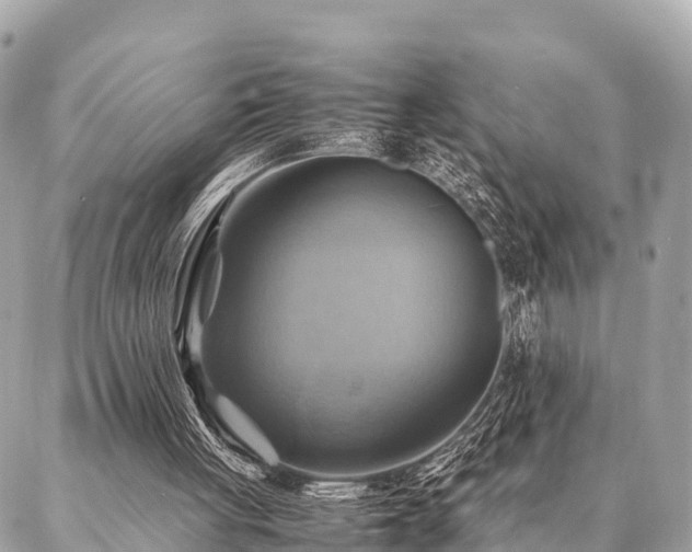 X0000086940051200704161439