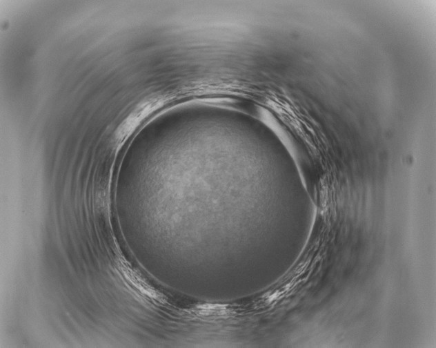 X0000086940052200704161439