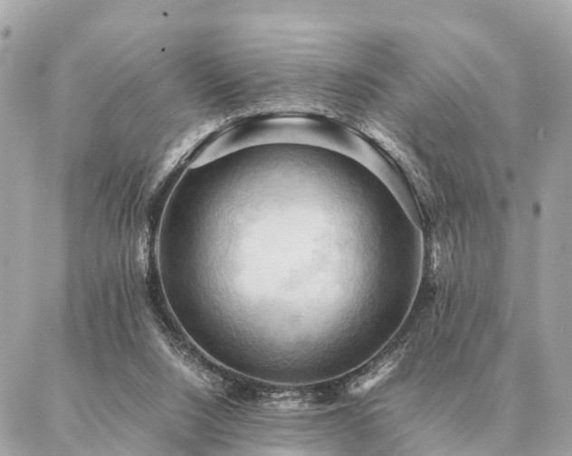 X0000086940064200704161439