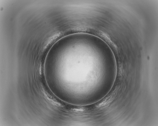 X0000086940068200704161439