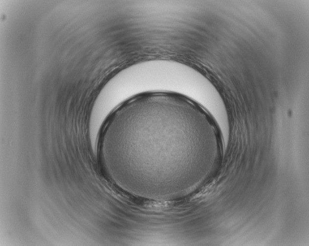 X0000086940084200704161439