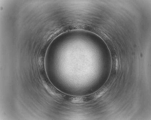 X0000086940088200704161439