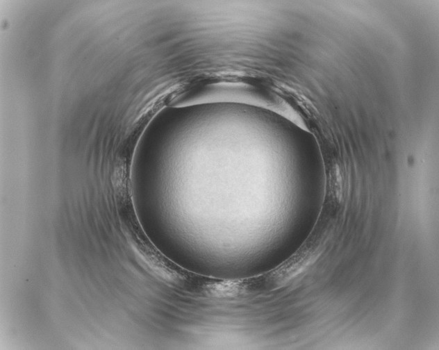 X0000086940092200704161439