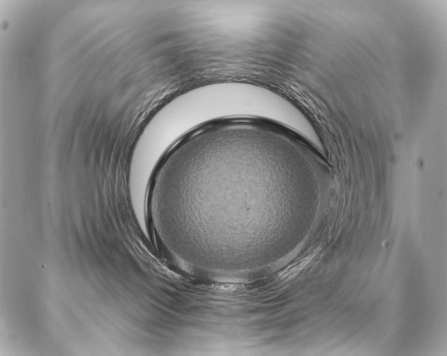 X0000086940096200704161439
