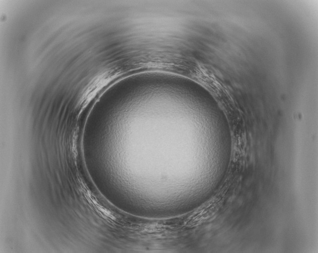X0000086940098200704161439