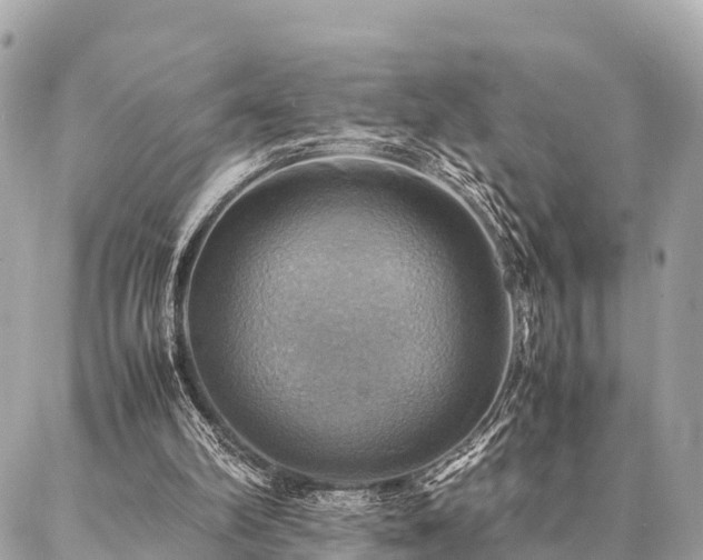 X0000086940102200704161439