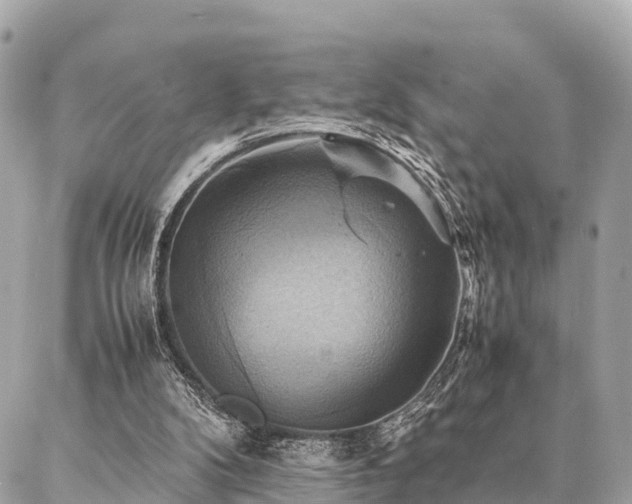 X0000086940104200704161439