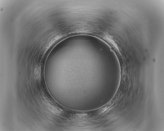 X0000086940108200704161439