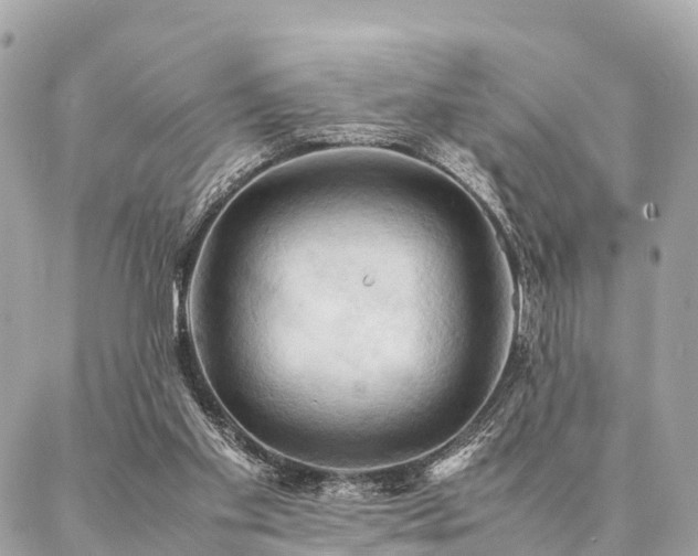X0000086940109200704161439