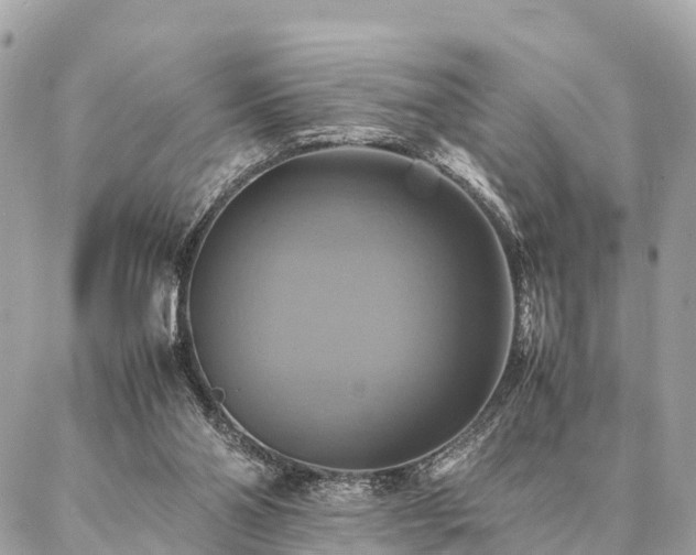 X0000086940110200704161438