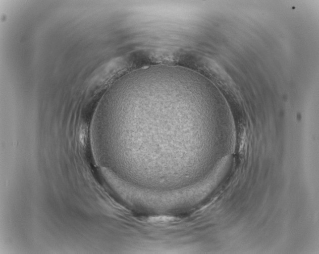 X0000086940125200704161438