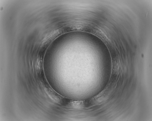 X0000086940126200704161438