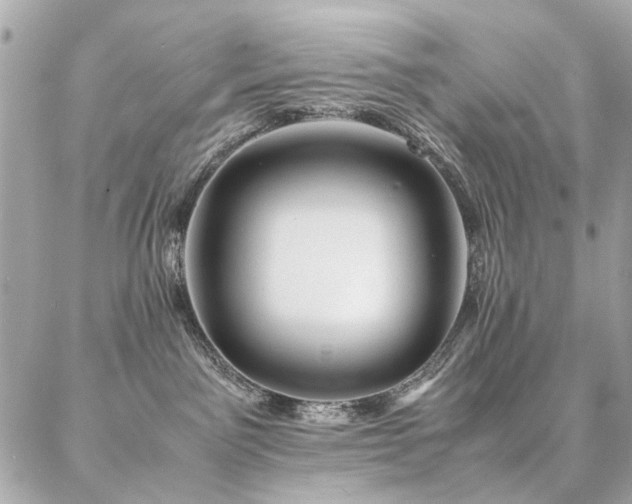 X0000086940141200704161438