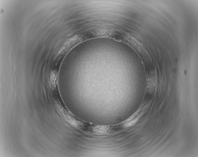 X0000086940142200704161438