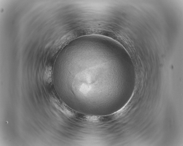X0000086940144200704161438
