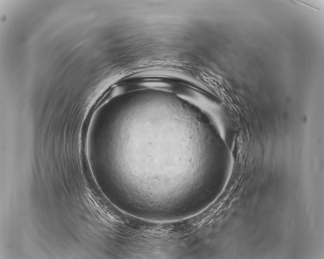 X0000086940148200704161437