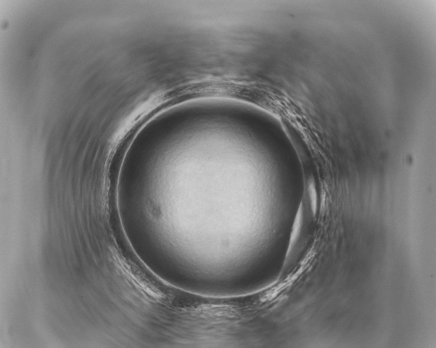 X0000086940150200704161437