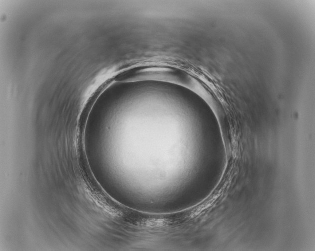 X0000086940152200704161437