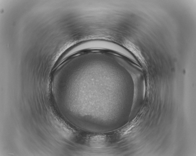 X0000086940156200704161437