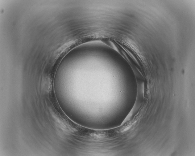 X0000086940164200704161437