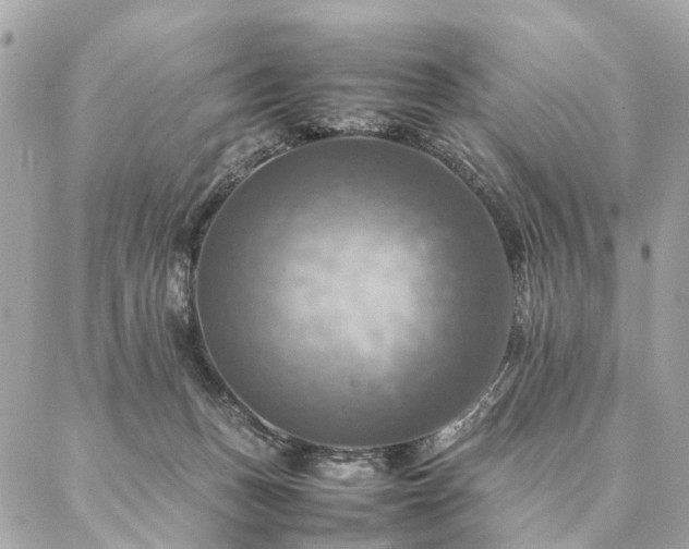 X0000086940175200704161438