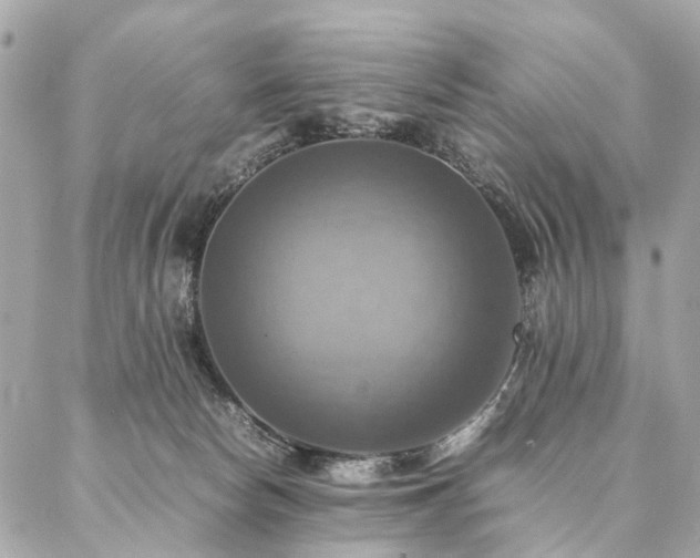 X0000086940178200704161438