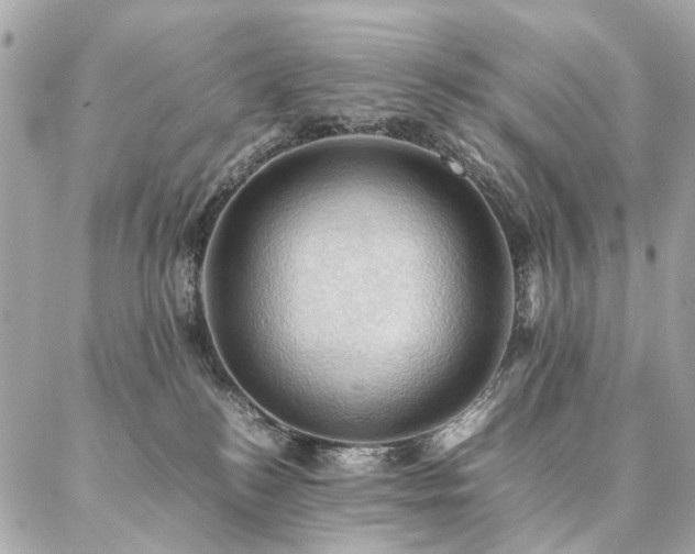 X0000086940184200704161438